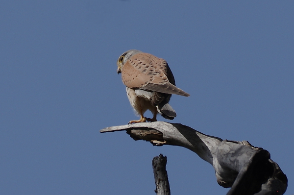 I'm watching you!