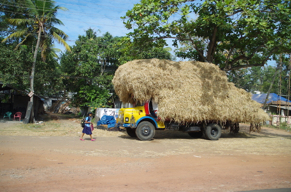 Just another Indian day.