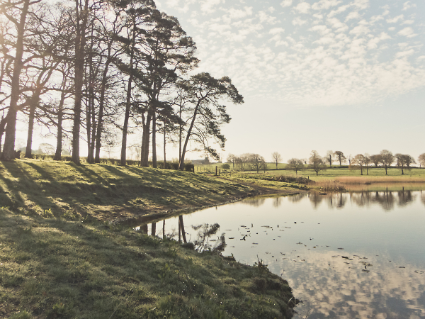 The Secret Lake