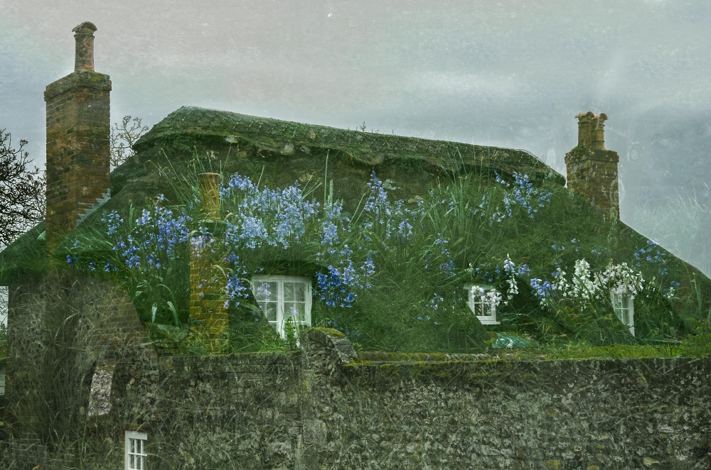 Blue Bell Cottage!