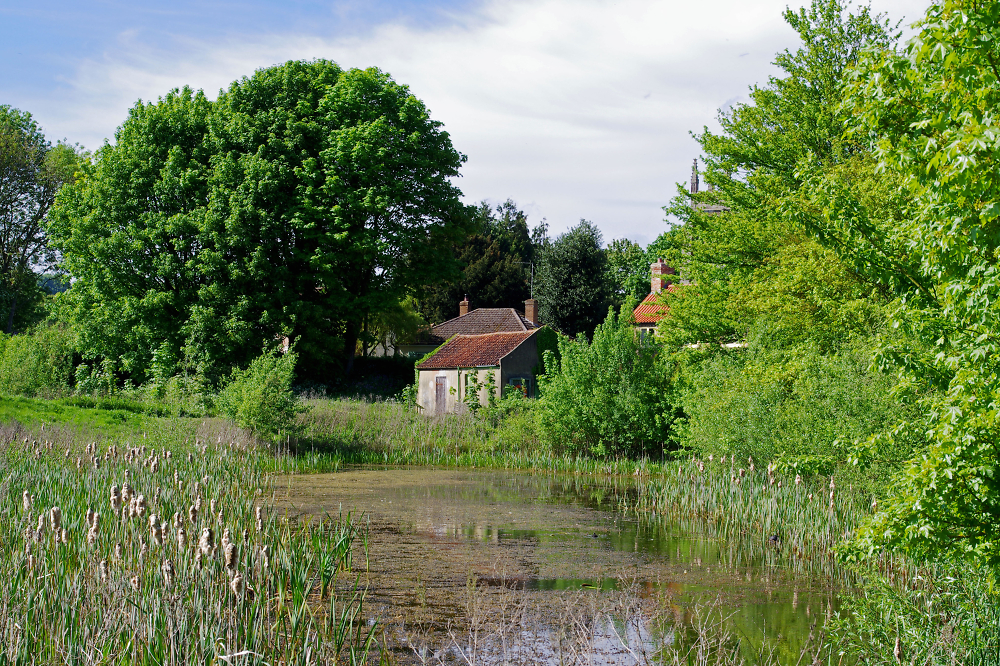 Castle Moat