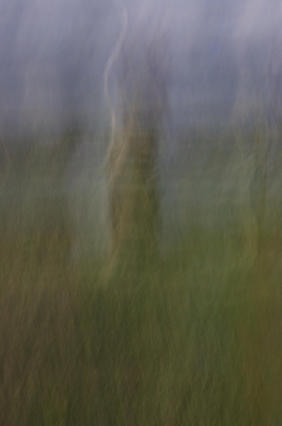 Bosham ICM
