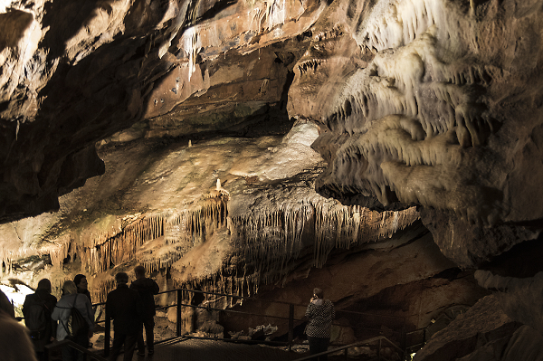 Gough Cave