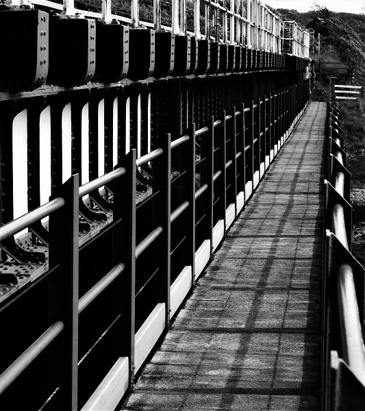 Lines!!