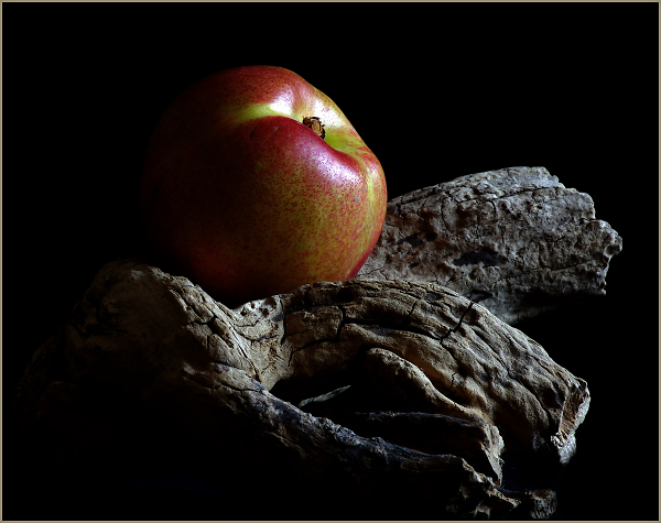 Nectarine