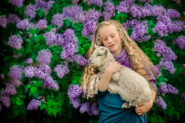 Nothing says Spring like Lambs and Lilacs.