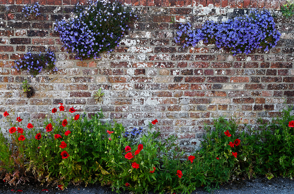 Red and Blue