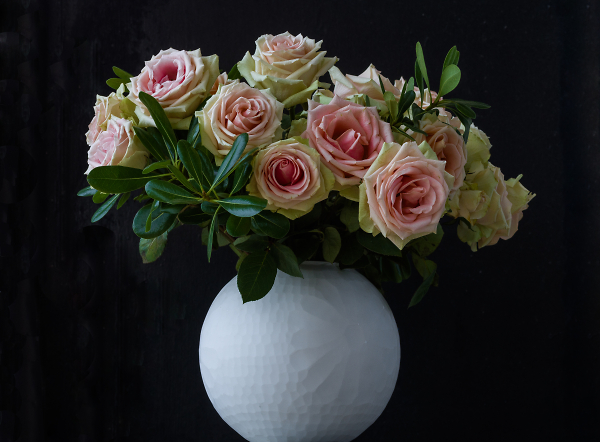 Roses Five Days Later