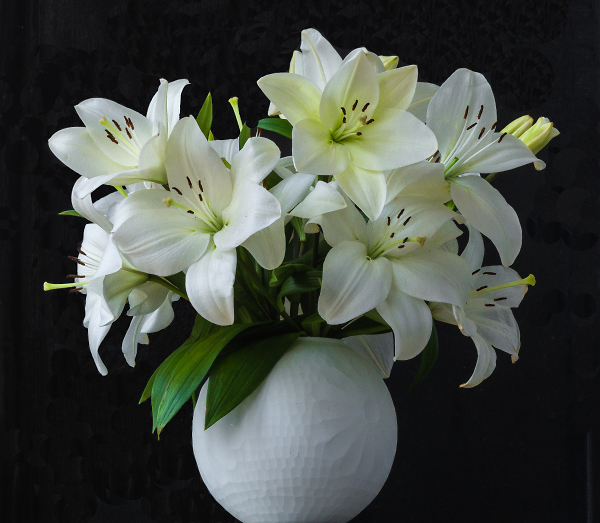 Roses Out, Lilies In