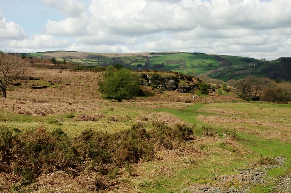 Spring in Wales