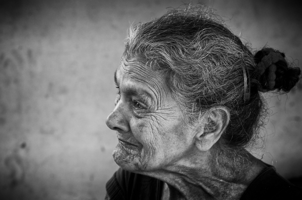 The Matriarch