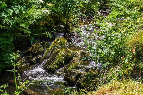 Babbling Brook