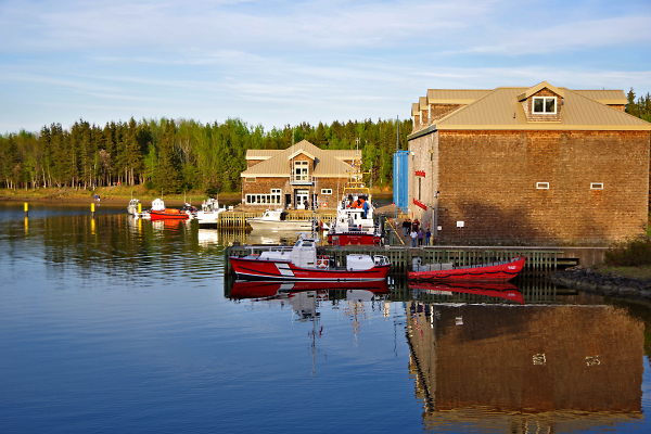 The Boathouse