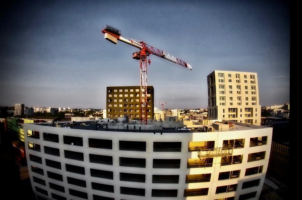 And this crane too, shall soon depart, leaving one forlorn with a heavy heart…