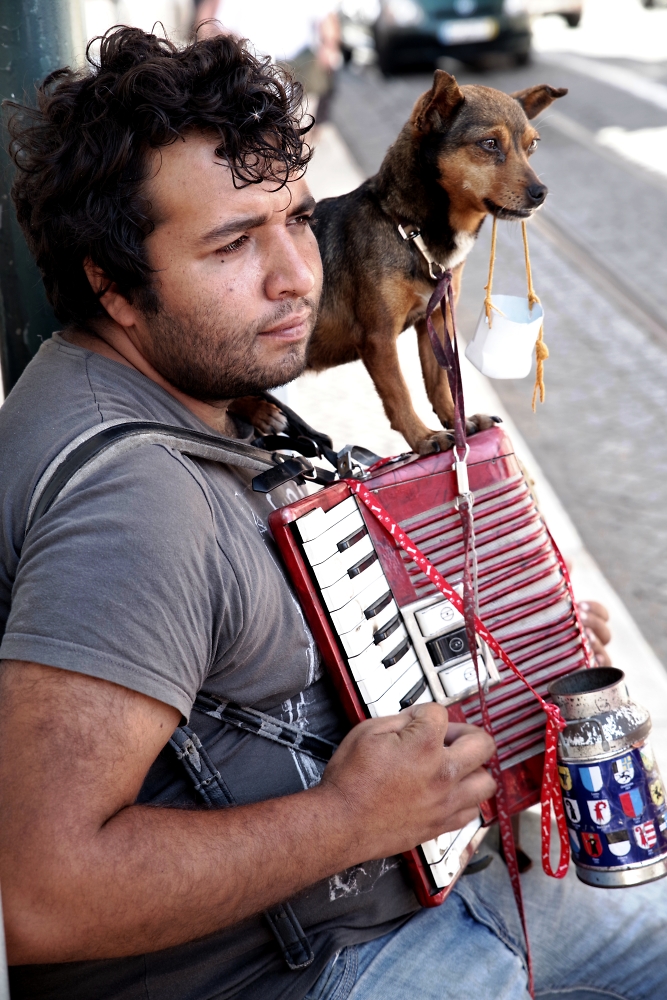 Man and dog at work (again)