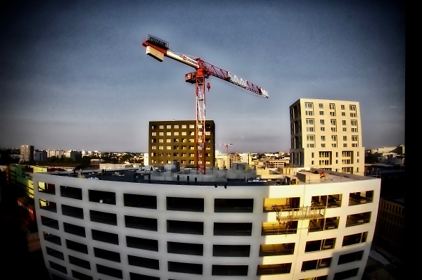 And this crane too, shall soon depart, leaving one forlorn with a heavy heart