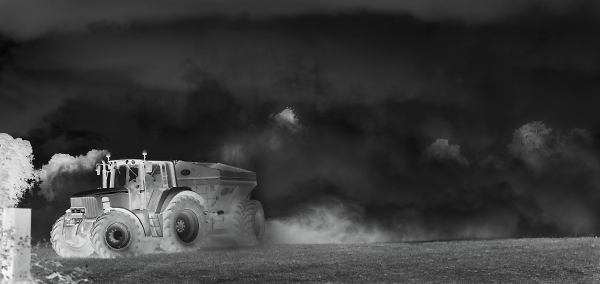 Down on the farm