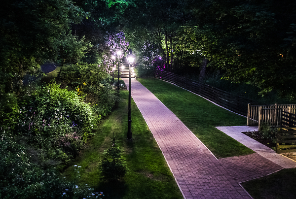 In the Night Garden