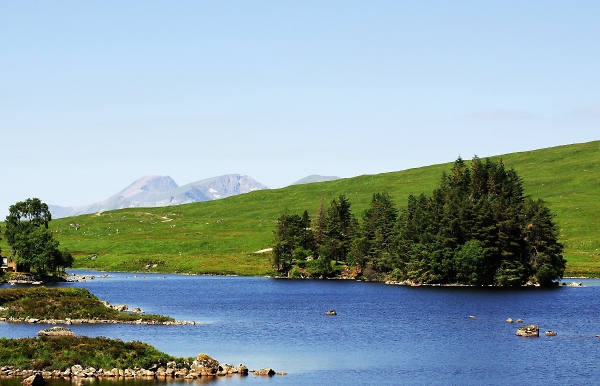 Summer in the Highlands