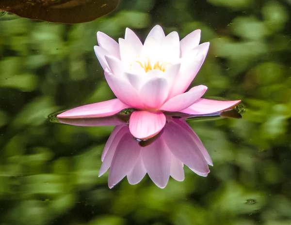'Floating on air'