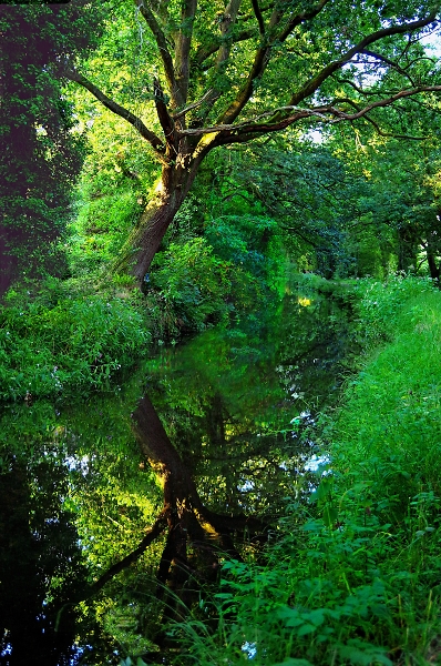 Reflection at Dusk