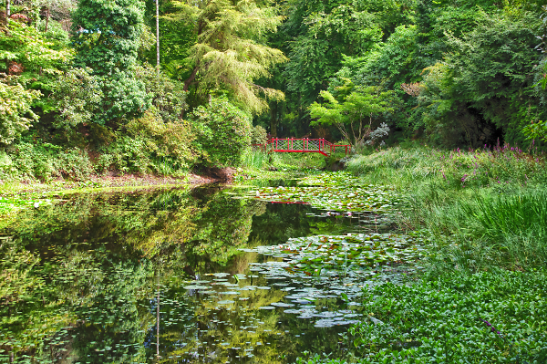 The Chinese Lake