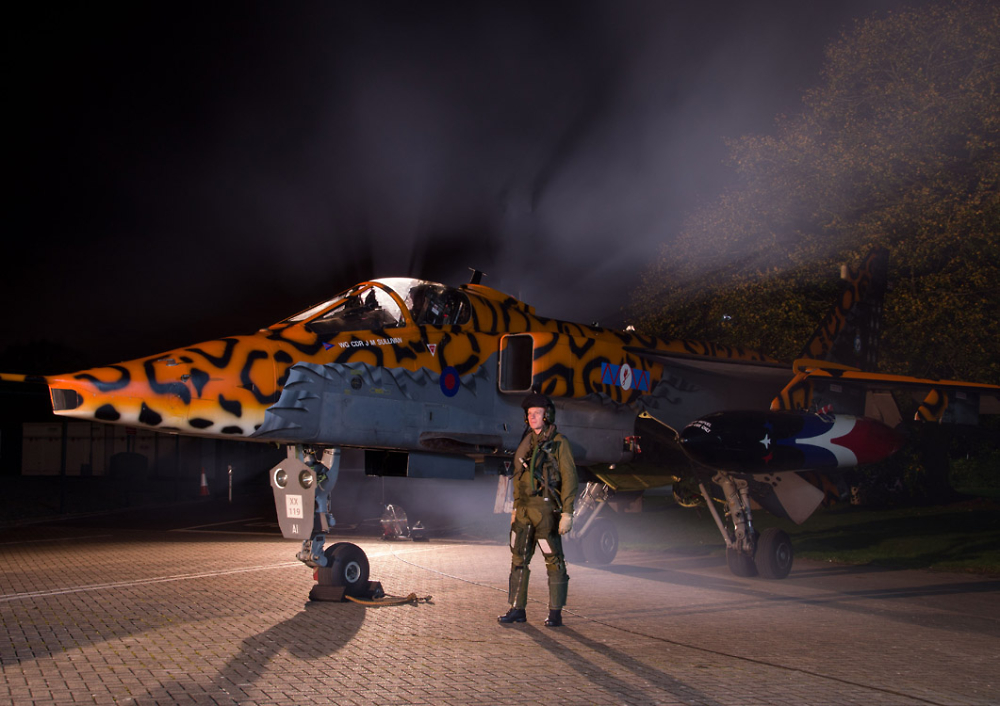 Colourful Jaguar