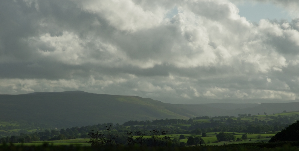 Wensleydale View