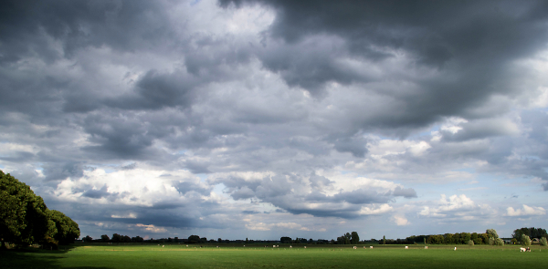 Dutch Country side