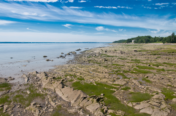 Low tide at Orleands Island