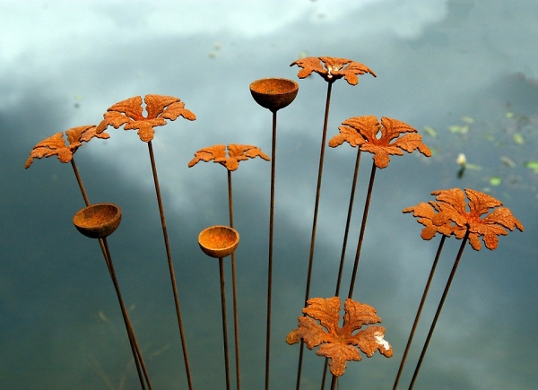 Rusty Flowers