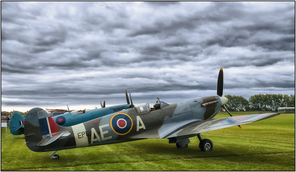 Spitfires Goodwood Revival