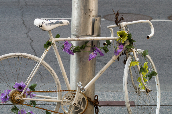 Traffic Victim's Memorial