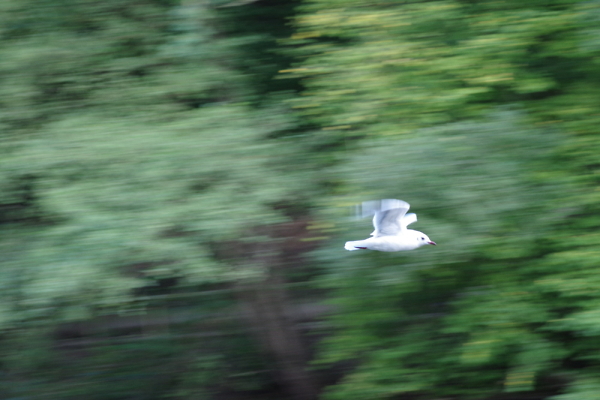 Wheee...