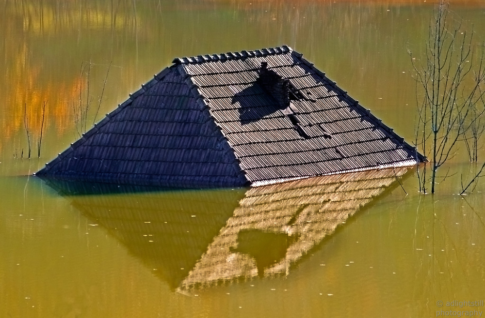 Borg