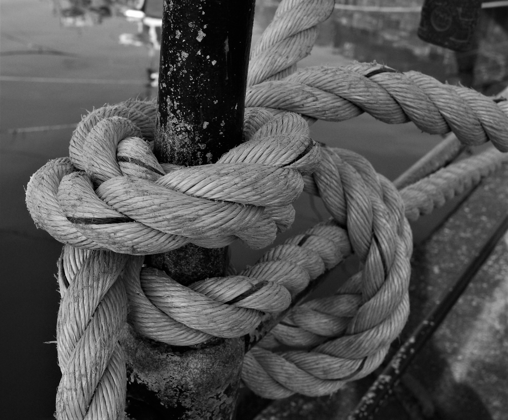 On The Ropes