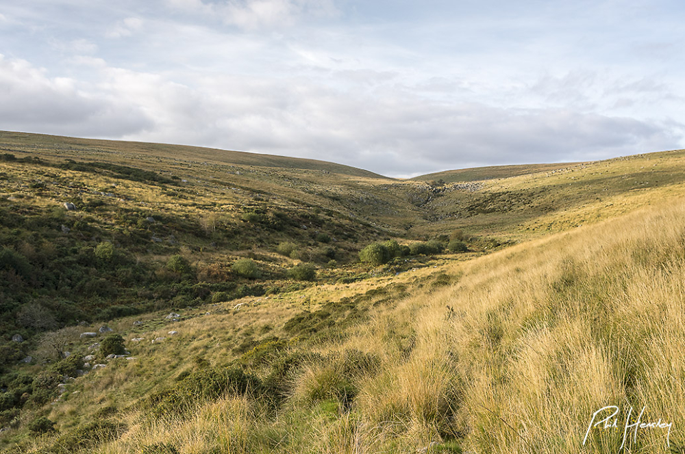 Stall Moor