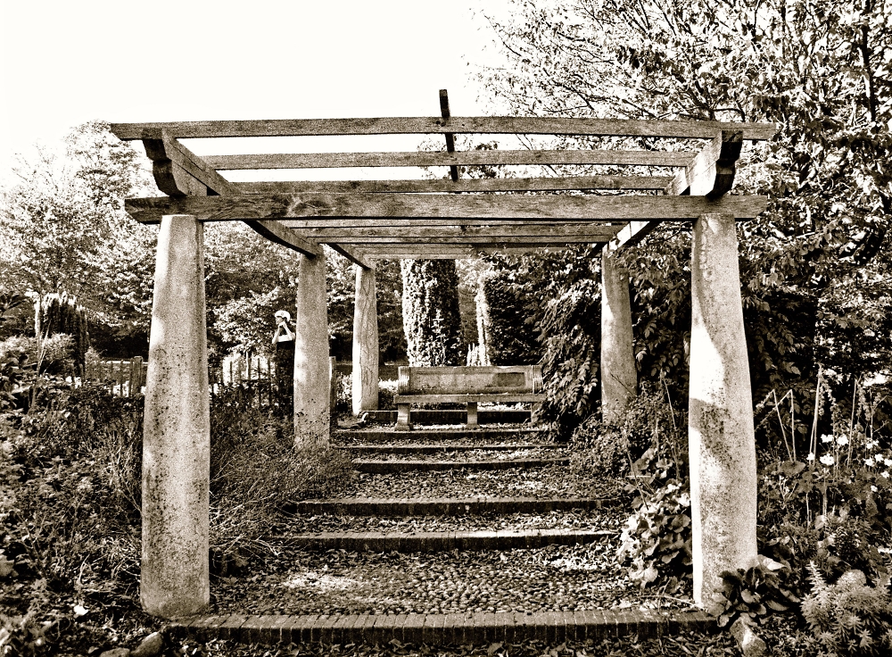 The Seat