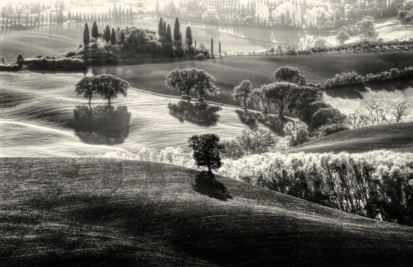Belvedere backlit