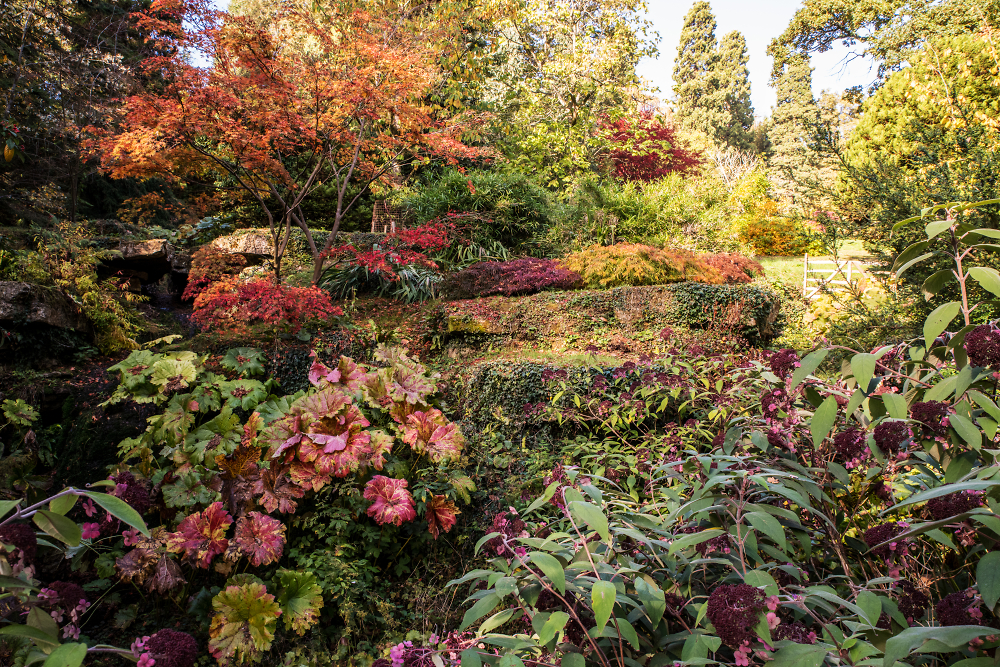 Autumn Steps at Batsford