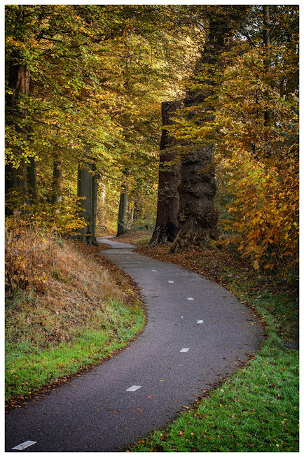 My  way to work