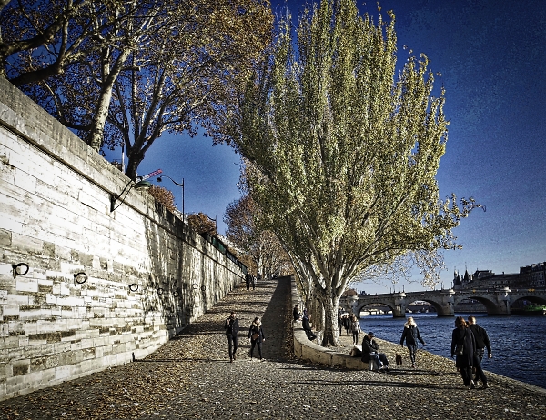 A Parisian November sunday afternoon