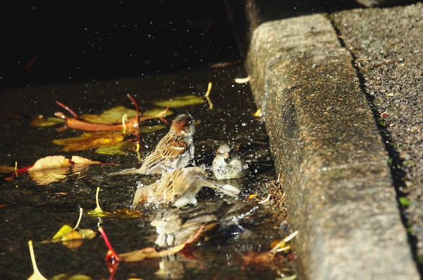bath time