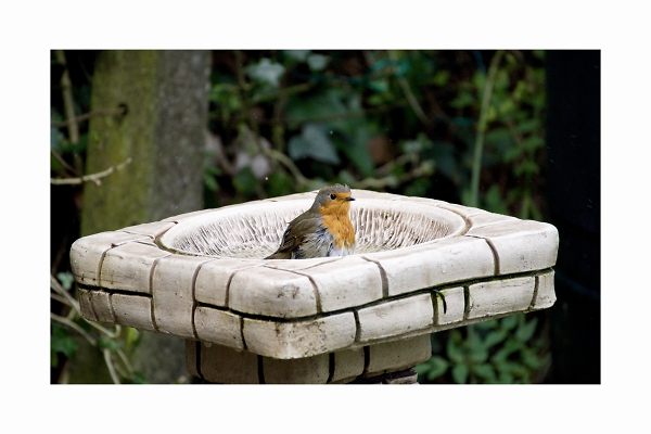 Cold bath
