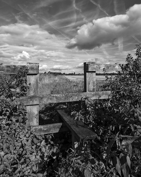Country Stile
