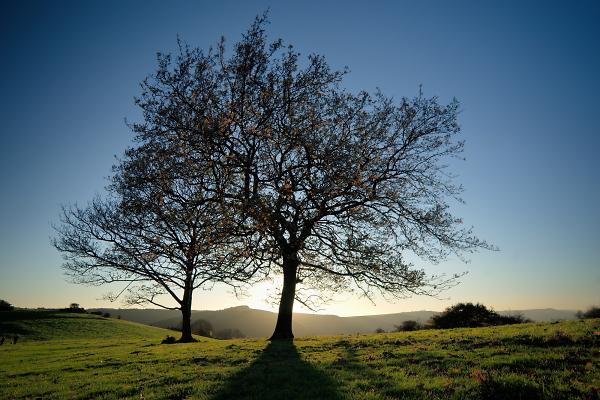 Newtimber Hill