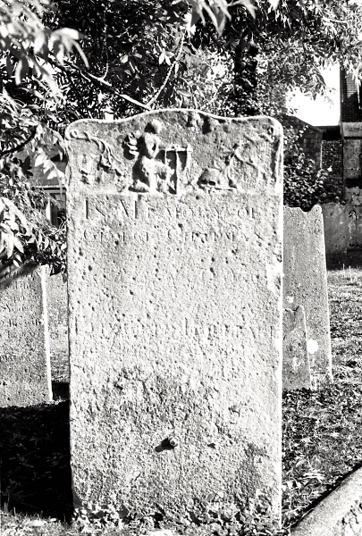 The stone