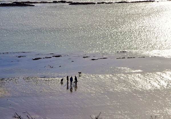 Walking on the beach