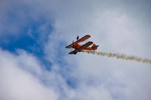 Wing walker