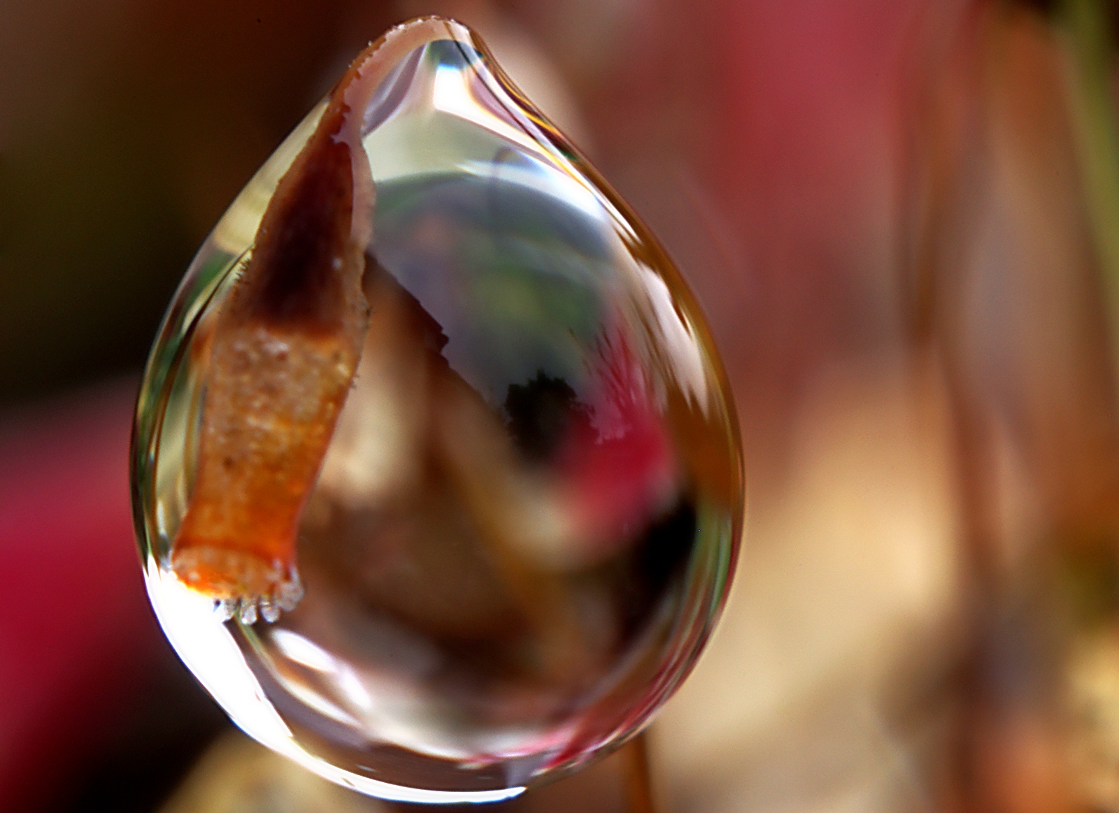 A very small droplet